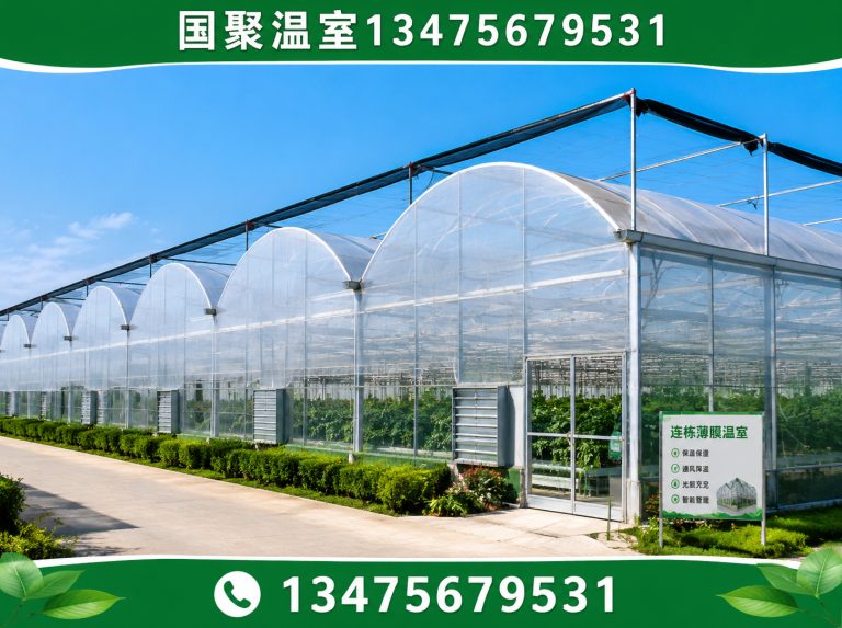 诸城市农业温室工程展示图