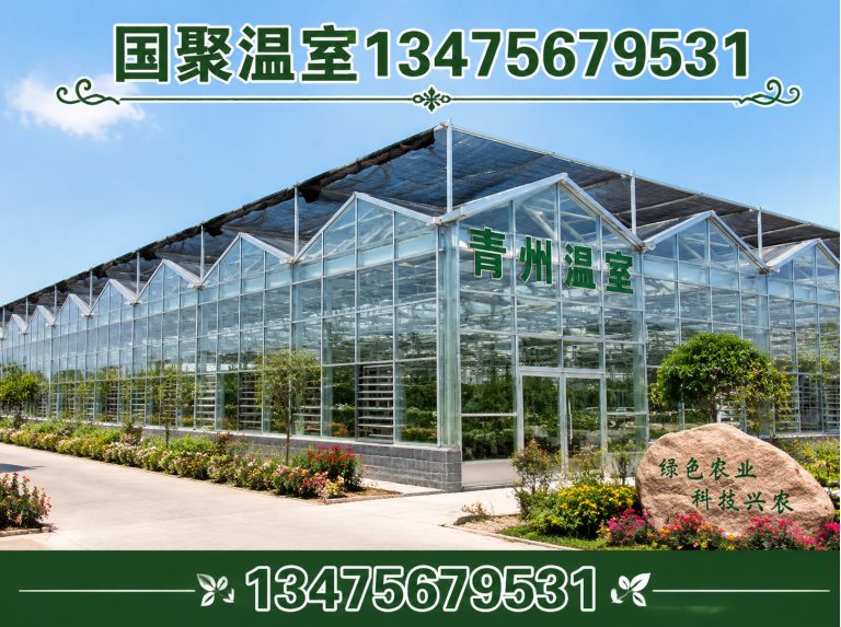 诸城市温室大棚厂家展示图